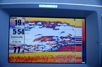 Sunfish and Bass on Humminbird